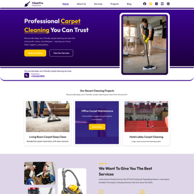 Carpet Washing Img