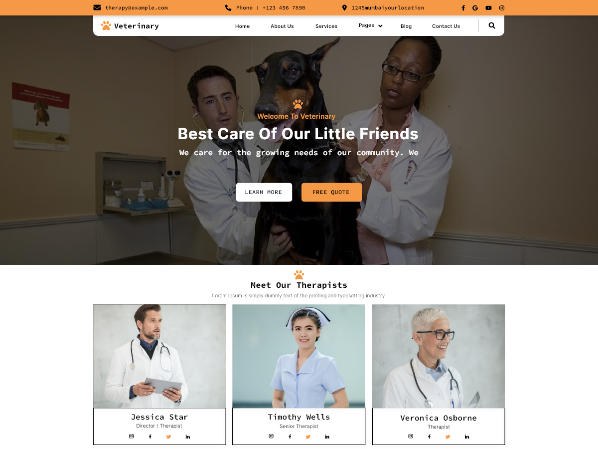 Veterinary clinic WordPress theme homepage preview with vets examining a dog