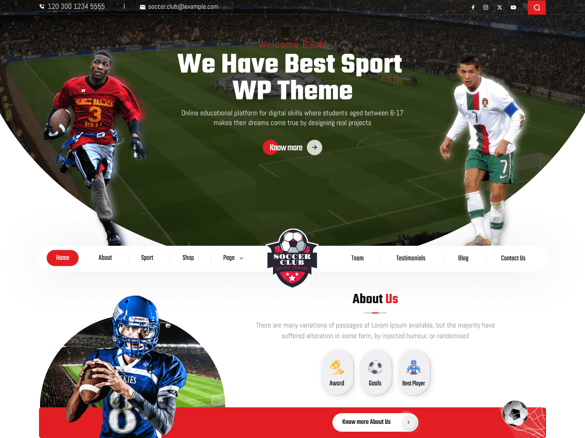 Free Soccer WordPress Themes